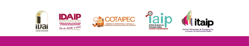 Foro Regiónal Sureste por la Armonización Legislativa en Materia de Protección de Datos Personales y el ejercicio pleno de los Derechos Humanos de Acceso a la Información y Protección de Datos Personales a Grupos Vulnerables